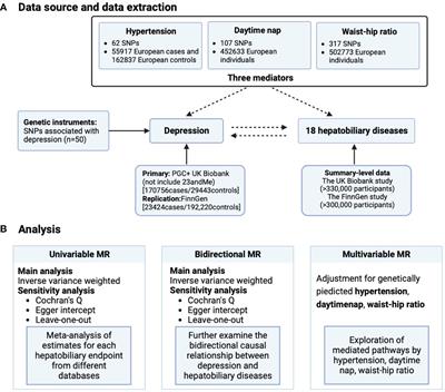 Depression and hepatobiliary diseases: a bidirectional Mendelian randomization study